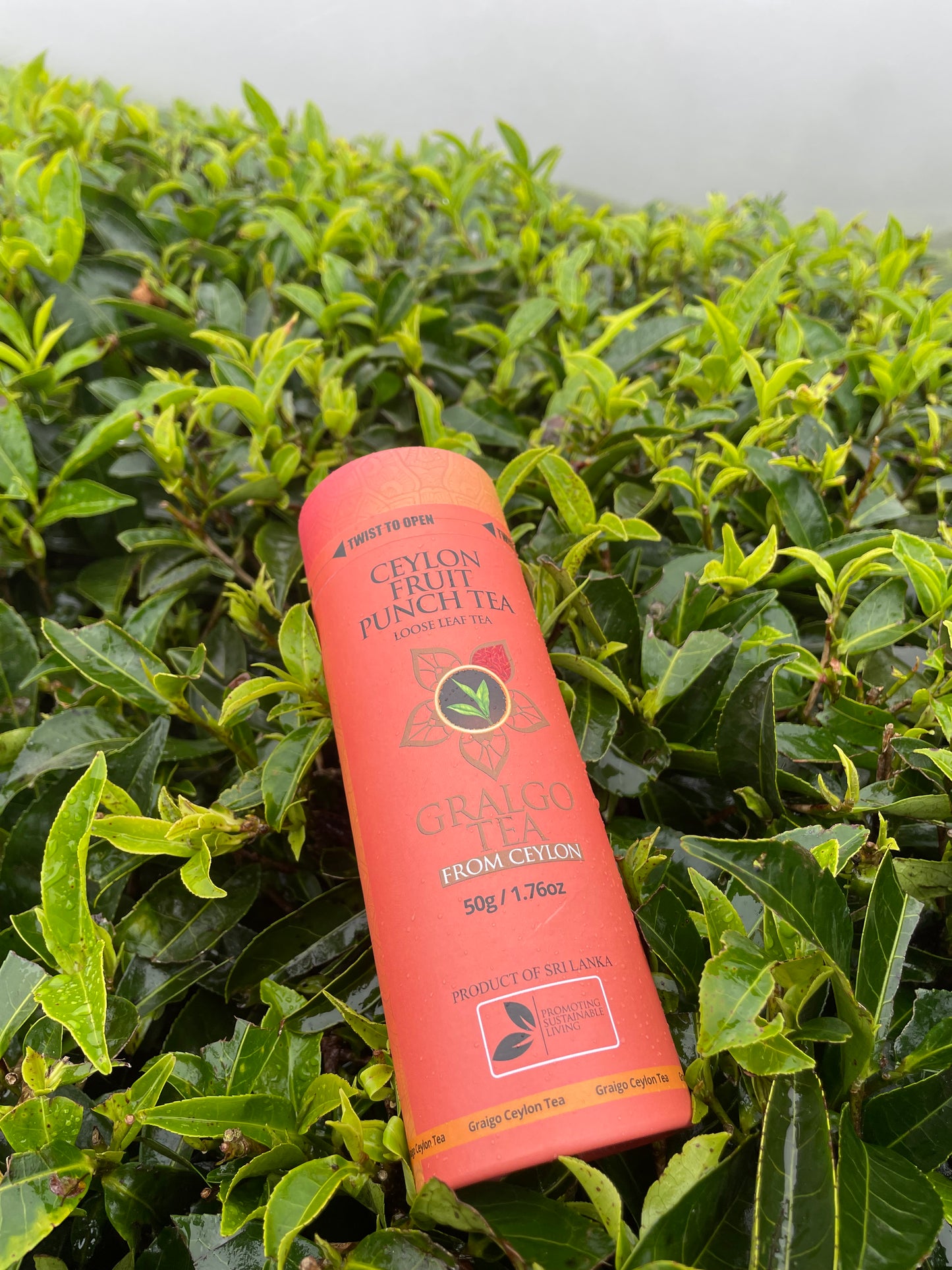 Ceylon Fruit Punch Tea